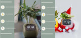 Smart Planter with AI | Fun Expressions & Easy Plant Care