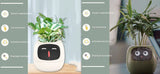 Smart Planter with AI | Fun Expressions & Easy Plant Care