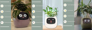 Smart Planter with AI | Fun Expressions & Easy Plant Care