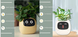 Smart Planter with AI | Fun Expressions & Easy Plant Care