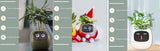 Smart Planter with AI | Fun Expressions & Easy Plant Care
