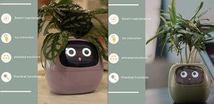 Smart Planter with AI | Fun Expressions & Easy Plant Care