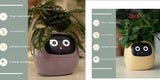 Smart Planter with AI | Fun Expressions & Easy Plant Care