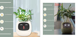 Smart Planter with AI | Fun Expressions & Easy Plant Care