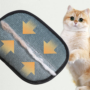 Pet Grooming Glove & Hair Remover Mitt
