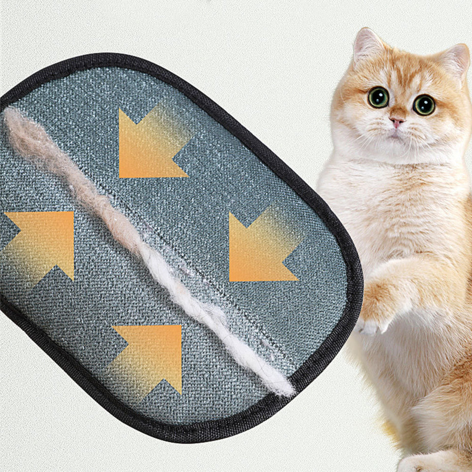 Pet Grooming Glove & Hair Remover Mitt