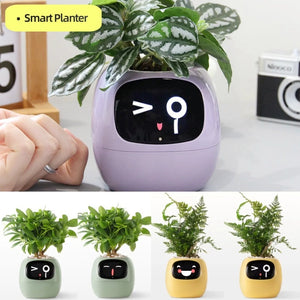 Smart Planter with AI | Fun Expressions & Easy Plant Care