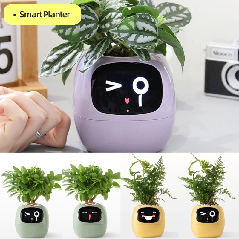 Smart Planter with AI | Fun Expressions & Easy Plant Care