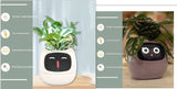 Smart Planter with AI | Fun Expressions & Easy Plant Care