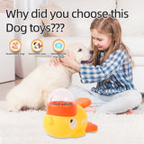 Interactive Dog Puzzle Feeder