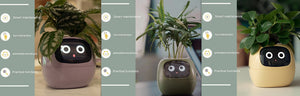 Smart Planter with AI | Fun Expressions & Easy Plant Care