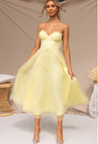 Temperament Camisole Mesh Party Evening Dress