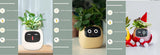 Smart Planter with AI | Fun Expressions & Easy Plant Care