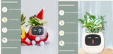 Smart Planter with AI | Fun Expressions & Easy Plant Care
