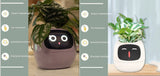 Smart Planter with AI | Fun Expressions & Easy Plant Care