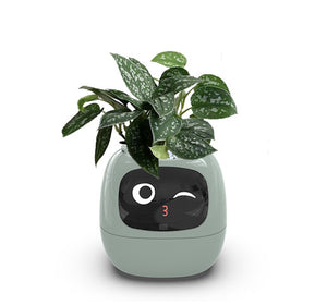 Smart Planter with AI | Fun Expressions & Easy Plant Care