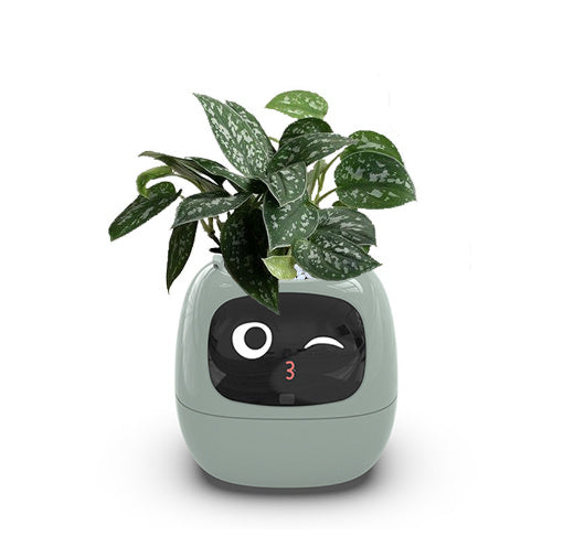 Smart Planter with AI | Fun Expressions & Easy Plant Care